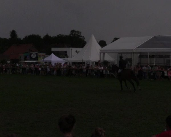 Reitturnier Schillerslage 2018