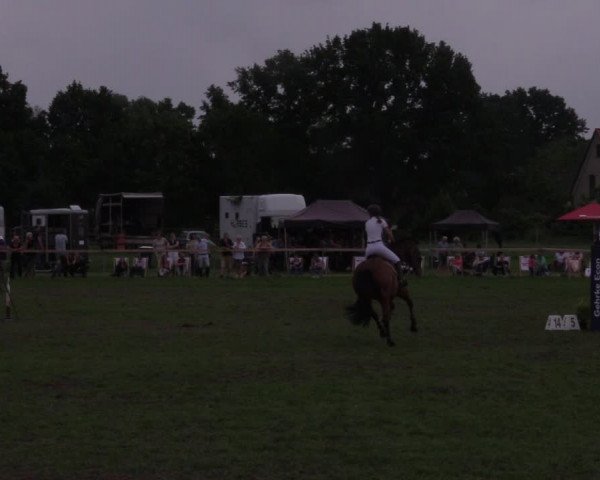 Reitturnier Schillerslage 2018