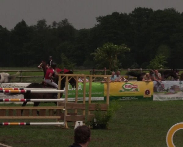Reitturnier Schillerslage 2018