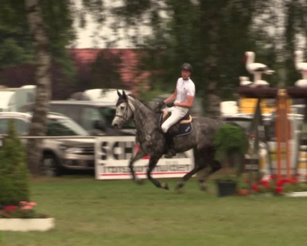Reitturnier Hille 2018
