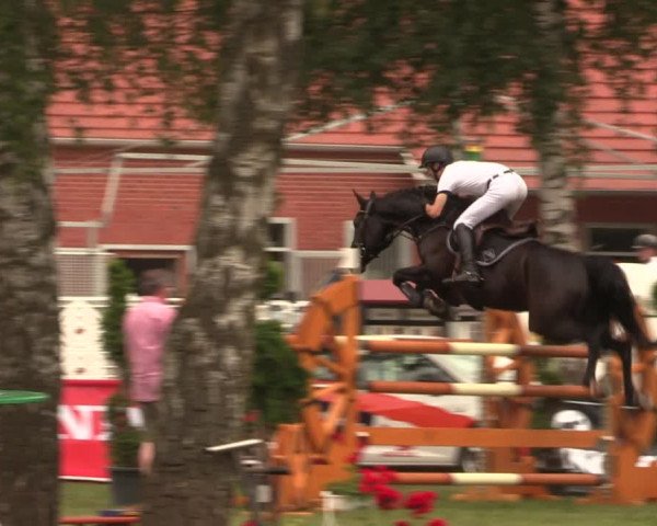 Reitturnier Hille 2018