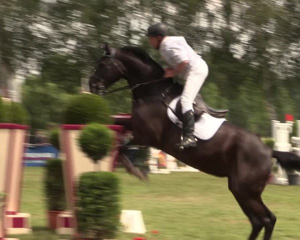 Reitturnier Hille 2018