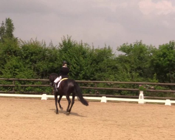 Reitturnier Schillerslage 2018