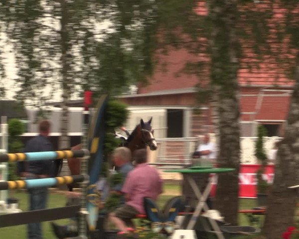 Reitturnier Hille 2018