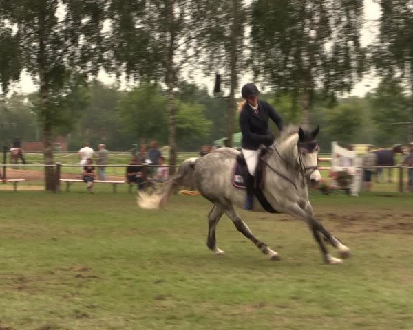 Reitturnier Hille 2018
