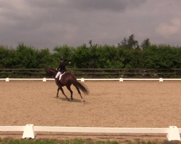 Reitturnier Schillerslage 2018
