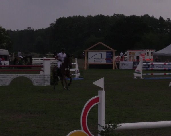 Reitturnier Schillerslage 2018