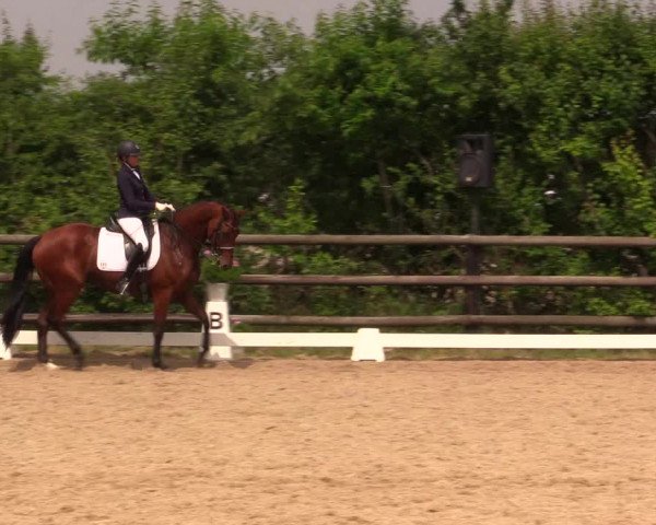 Reitturnier Schillerslage 2018