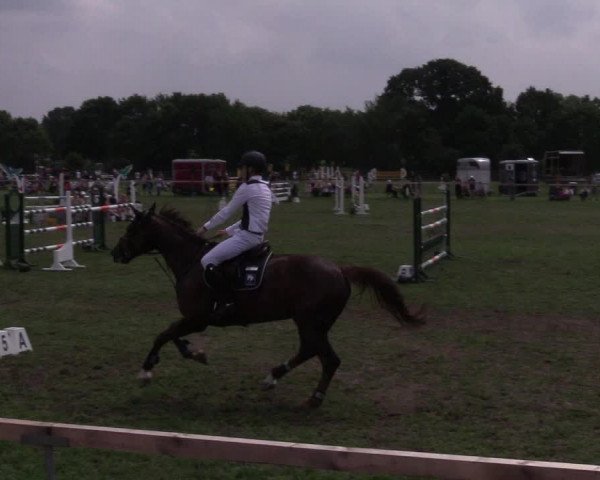 Reitturnier Schillerslage 2018