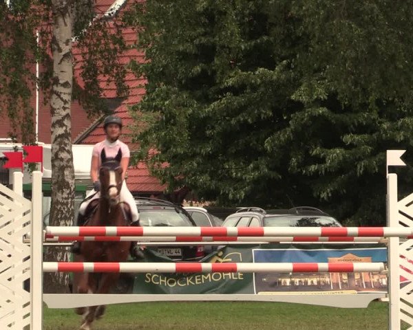 Reitturnier Hille 2018
