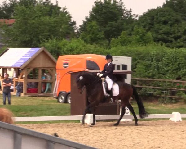 Reitturnier Schillerslage 2018