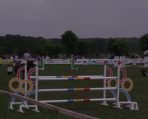 Reitturnier Schillerslage 2018