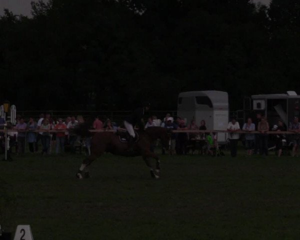 Reitturnier Schillerslage 2018