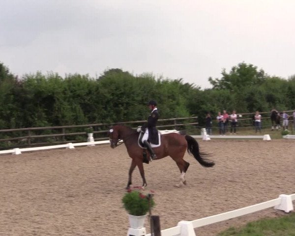Reitturnier Schillerslage 2018