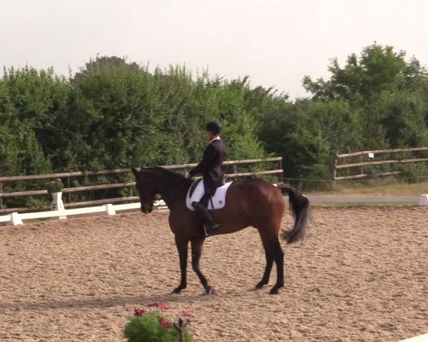 Reitturnier Schillerslage 2018