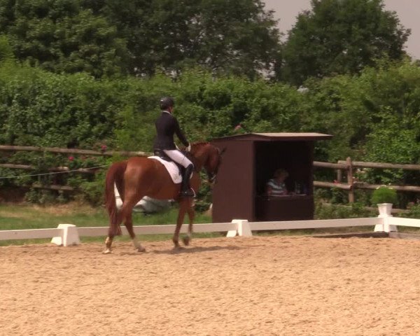 Reitturnier Schillerslage 2018