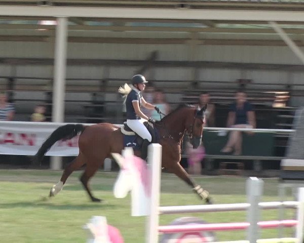 Reitturnier Schwanebeck 2018