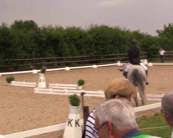 Reitturnier Schillerslage 2018