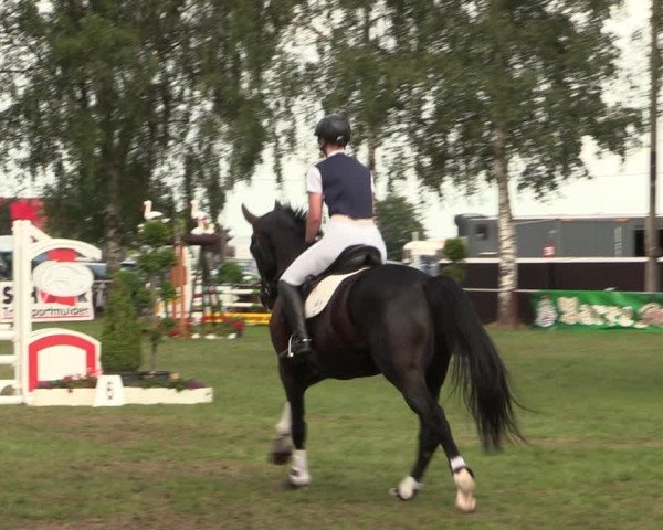 Reitturnier Hille 2018