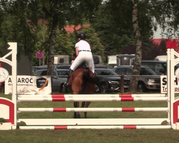 Reitturnier Hille 2018