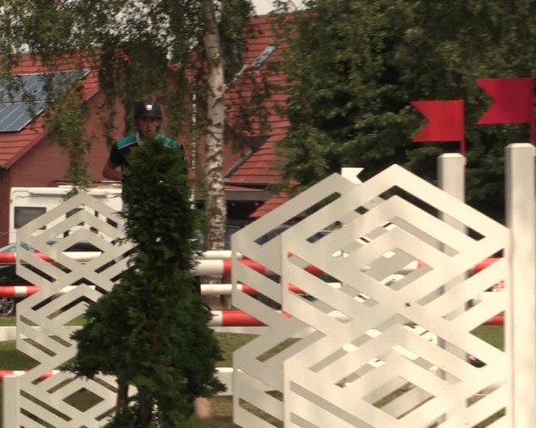 Reitturnier Hille 2018