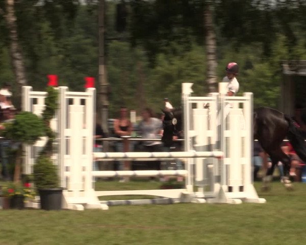 Reitturnier Hille 2018