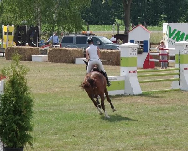 Reitturnier Schwanebeck 2018