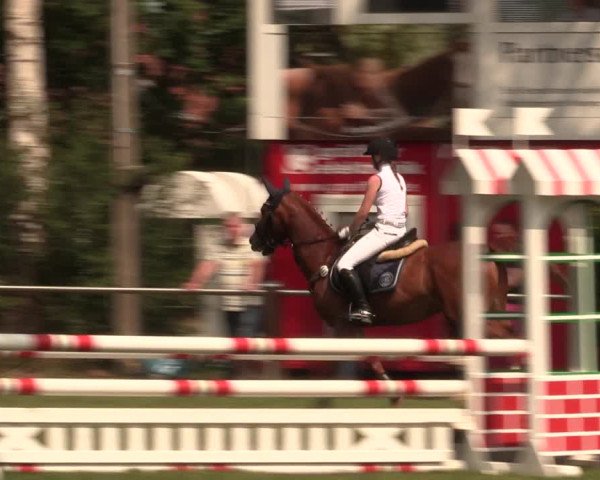 Reitturnier Hille 2018