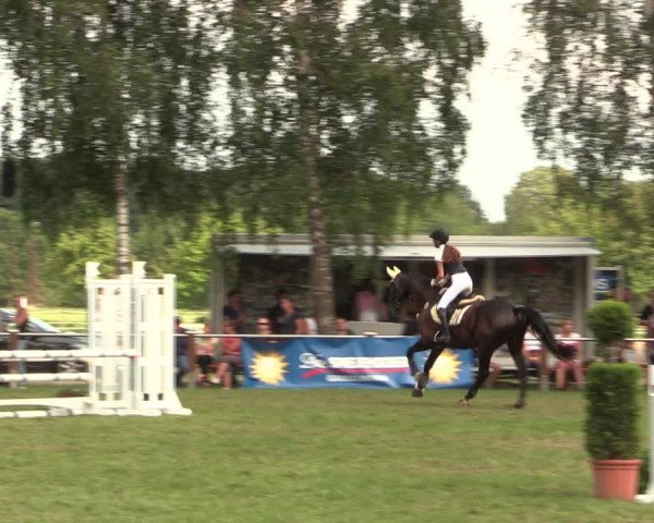Reitturnier Hille 2018