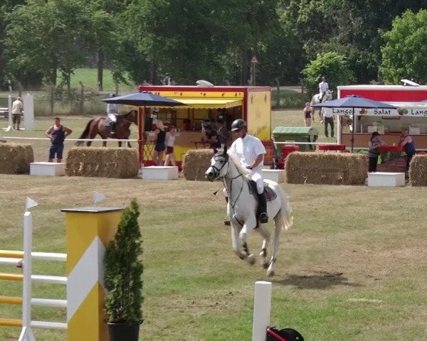 Reitturnier Schwanebeck 2018