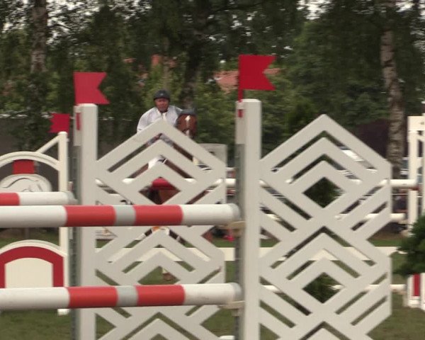 Reitturnier Hille 2018