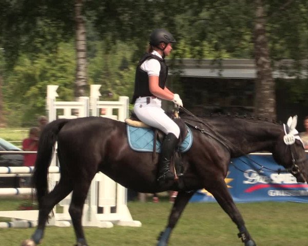 Torneo Equestre Hille 2018