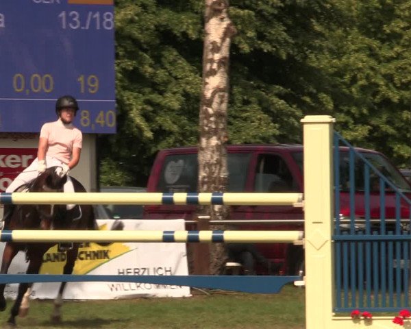 Reitturnier Hille 2018