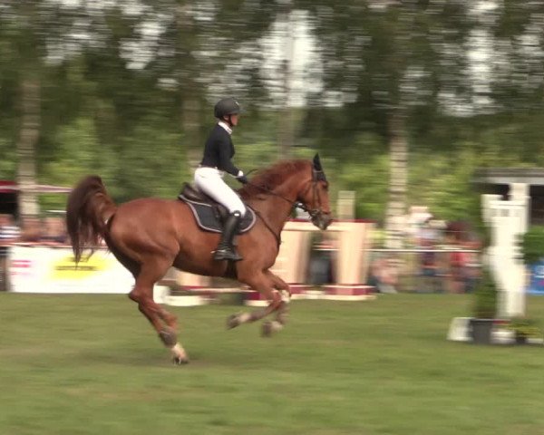 Reitturnier Hille 2018