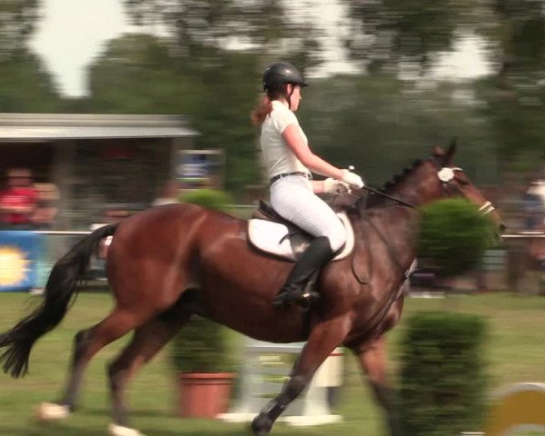 Reitturnier Hille 2018