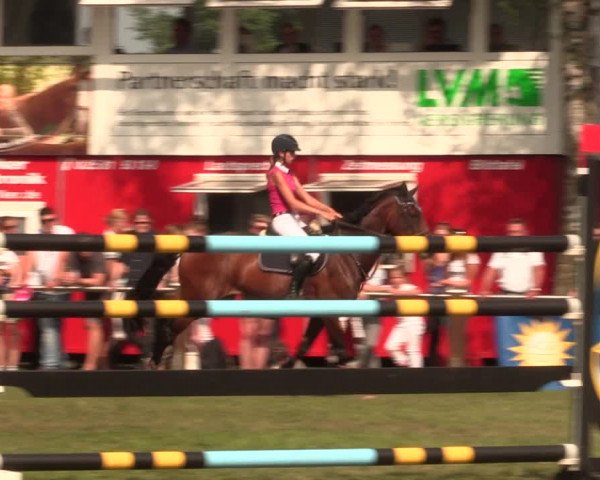 Reitturnier Hille 2018