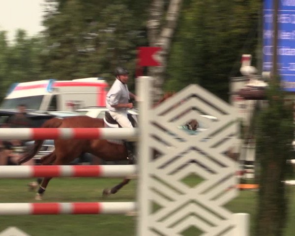 Reitturnier Hille 2018