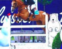 Springpferd Quarrycrest Clover (Irish Sport Horse, 2006, von Clover Echo)