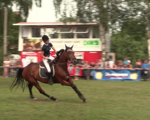 Reitturnier Hille 2018