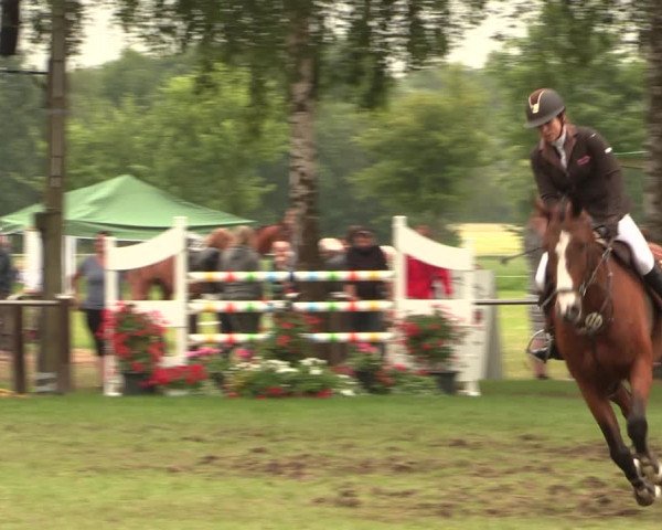 Reitturnier Hille 2018