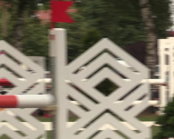 Reitturnier Hille 2018