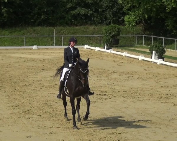Reitturnier Ladenburg 2018