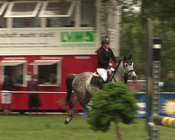 Reitturnier Hille 2018