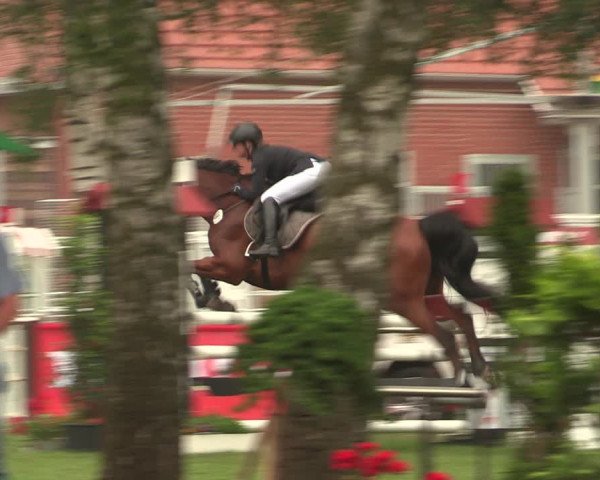 Reitturnier Hille 2018