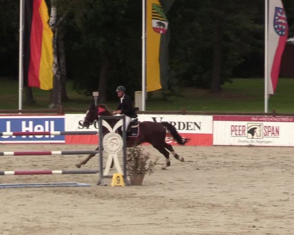 Reitturnier Westergellersen 2021