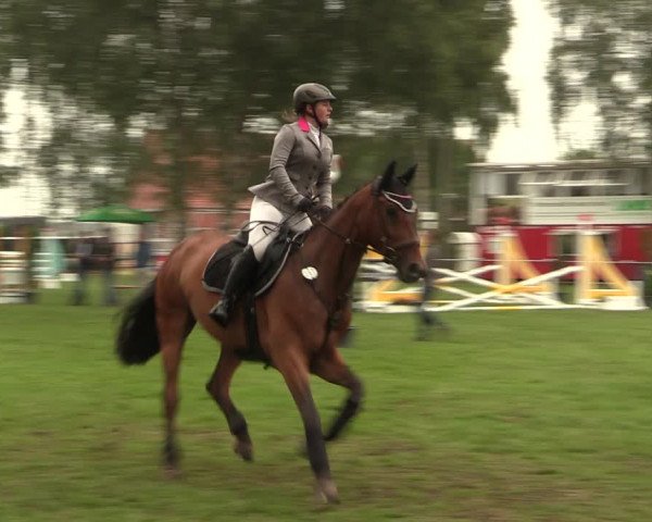 Reitturnier Hille 2018
