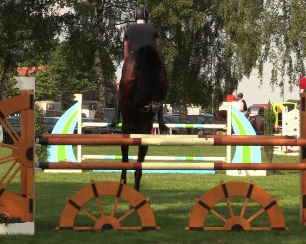 Reitturnier Hille 2018