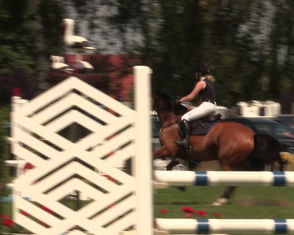 Reitturnier Hille 2018