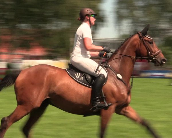 Reitturnier Hille 2018