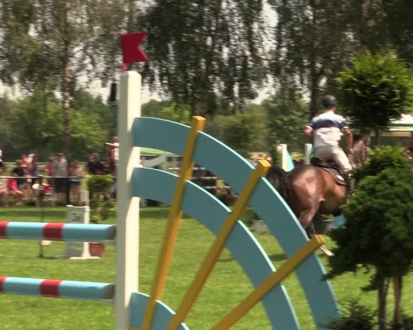 Reitturnier Hille 2018